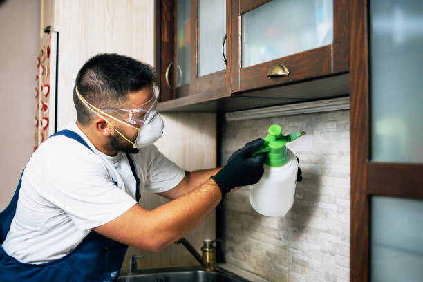 Best Wasp Removal Services  in Highland, UT