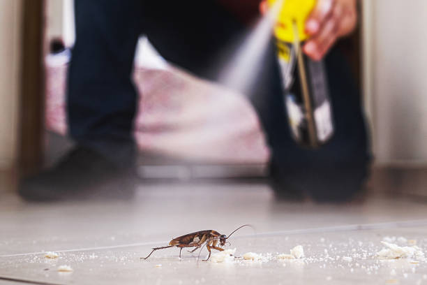 Best Pest Prevention Services  in Highland, UT