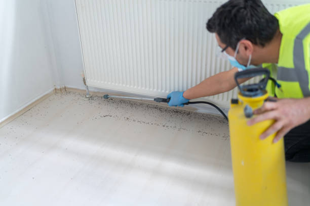 Pest Control for Restaurants in Highland, UT